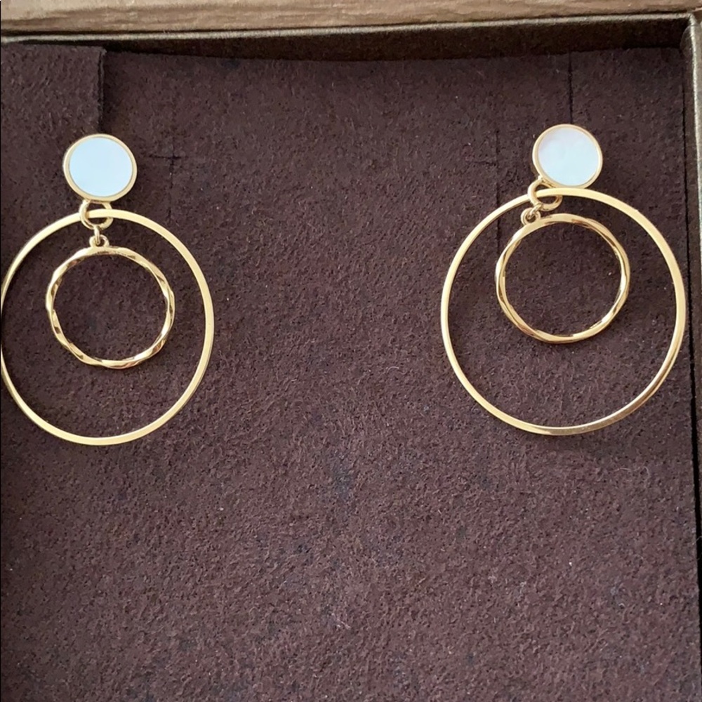 Earrings NWOT